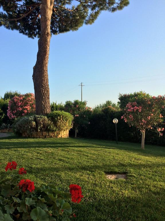 Agriturismo - B&B L'Acquacotta Castiglione della Pescaia Exterior foto